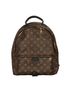 Palm Springs MM backpack, front view